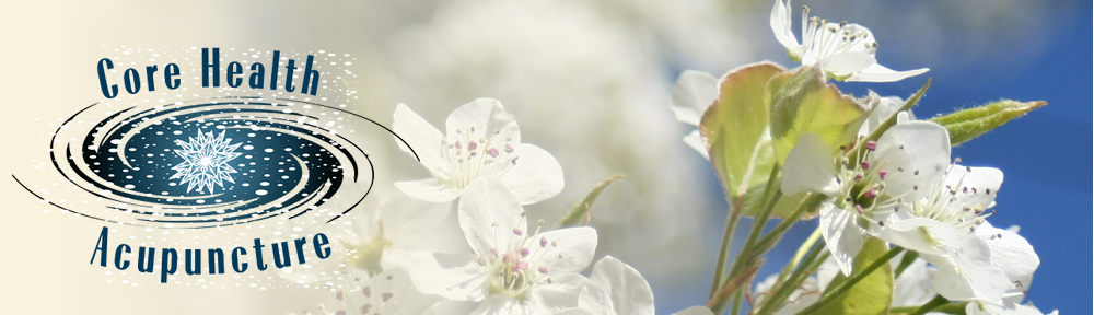 CHA Banner